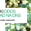 Zašto je veliki DDoS napad na DNS umalo srušio internet? Zašto je veliki DDoS napad na DNS umalo srušio internet?