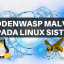 HiddenWasp malver napada Linux sisteme HiddenWasp malver napada Linux sisteme