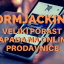 Formjacking – veliki porast napada na online prodavnice Formjacking – veliki porast napada na online prodavnice