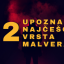 Upoznajte 12 najčešćih vrsta malvera Upoznajte 12 najčešćih vrsta malvera